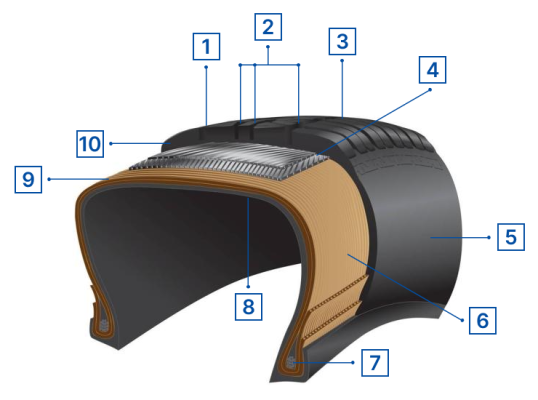 An image showing tyres cross section with different parts labelled