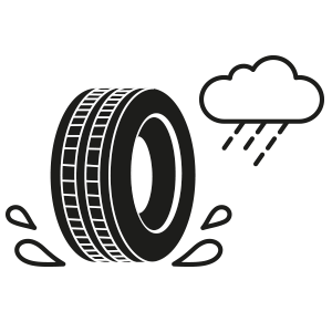 Tyre wet grip icon